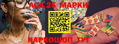 спиды Новокубанск