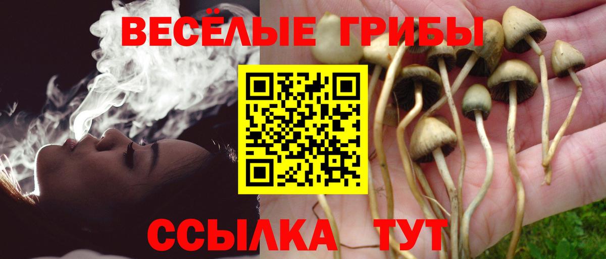 Галлюциногенные грибы прущие грибы  Вход с VPN  Псилоцибиновые грибы ЛСД  Ревда 